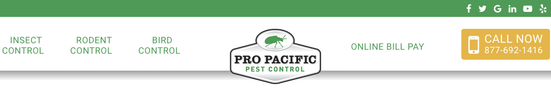 Pro Pacific Pest Control Login Pro Pacific Pest Control